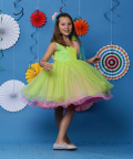 Multi Colored Fabulous Layered Dress