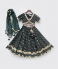 Green Printed Lehenga Choli and Dupatta