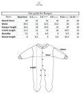 Customized Happy Birthday Didi Romper