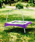 Plum Junior Bouncer With Handle