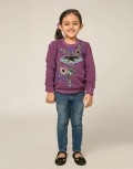 Butterfly Embroidery Sweatshirt