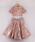 Gorgeous Sequin Work Top With Pink Lehenga
