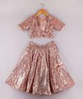 Gorgeous Sequin Work Top With Pink Lehenga
