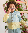 Cerulean Warbler Shirt