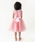 Pink Stardust Dress