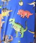 Dinosaur Blue Short Sleeve Pyjama Set - Blue