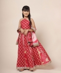 Ari Halter - Neck Top & Lehenga Set