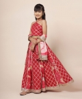 Ari Halter - Neck Top & Lehenga Set