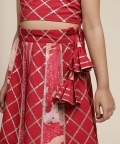 Ari Halter - Neck Top & Lehenga Set