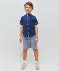 Chinese Collar Blue Shirt