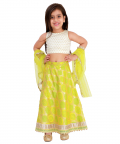 Green Full Length Lehenga Set With Dupatta