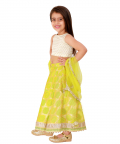 Green Full Length Lehenga Set With Dupatta