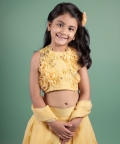 Blush And Bloom Lehenga Set