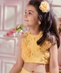 Blush And Bloom Lehenga Set