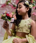 Elsa Lehenga Set