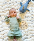 Crane Baby Narwhal Plush Toy