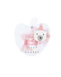 Well Dressed Bear Hair Clip Duo