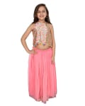 Pink Net Pom Pom Style Lehenga