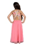 Pink Net Pom Pom Style Lehenga