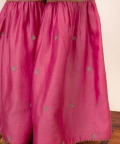Delicate Embroideri Sharara Set