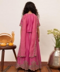 Delicate Emroidered Lehenga Set
