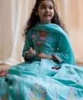 V -Neck Emroidered Lehanga Set