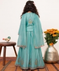 V -Neck Emroidered Lehanga Set
