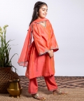 Side Panel Emroidered Kurta Set