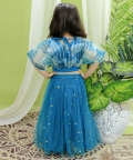 Ethnic Organza Cape Choli With Sequined Net Lehenga