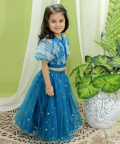 Ethnic Organza Cape Choli With Sequined Net Lehenga