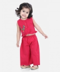 Bird Embroidered Top Palazzo Indo Western Clothing Pink