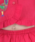 Bird Embroidered Top Palazzo Indo Western Clothing Pink