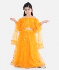 Festive Wear Sequin Net Lehenga & Ruffle Choli & Dupatta