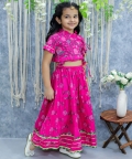 Pure Cotton Floral Printed  Front Open Choli with Lehenga