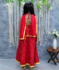 Halter Neck Pure Cotton Printed Choli Lehenga with Dupatta