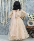 Gota Patti Party Wear Choli with Heavy Lehenga with  Dupatta