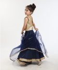 Sequin Crop Top And Lehenga Set 