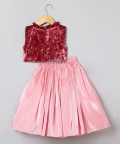 Heavily Embroidered And Shinny Glass Tissue Skirt And Top