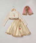 3 Pcs Lehenga Set