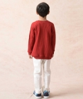 Apple Color Full Sleeves T-Shirt