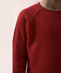 Apple Color Full Sleeves T-Shirt