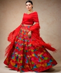 Hand Embroidred Lehenga With Drape Blouse & Feather Dupatta