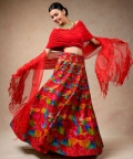 Hand Embroidred Lehenga With Drape Blouse & Feather Dupatta