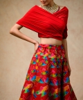 Hand Embroidred Lehenga With Drape Blouse & Feather Dupatta