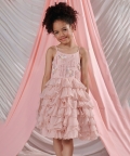 Mirabella - Hand Embroidered Multi-Layered Dress