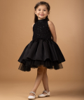 The Black Swan Dress