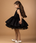 The Black Swan Dress