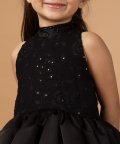 The Black Swan Dress