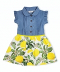 Denim Lemon Dress