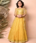 Lehenga Set